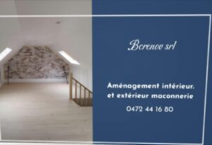 travaux travail chantier entrepreneur pro professionnel indépendant entreprise de construction peintre peinture menuisier menuiserie chauffagiste chauffage plafonneur plafonnage carreleur carrelage laveur de vitres lavage de vitre électricien électricité jardinier jardinage plombier plomberie maçon maçonnage couvreur toit corniche mur béton plâtre tondre tondeuse pelouse taille haie mise en conformité prise câble électrique carreaux vitres en hauteur crédence sol mur mazout gaz PAC pompe à chaleur sanitaire débouchage évier canalisation porte placard meuble peinture mur à peindre plafond cimentage faux plafond cloison isolation crépis